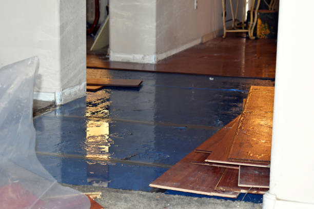 Professional Basement Flood Cleanup technician working in Rimforest, CA